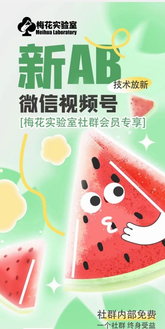 梅花实验室2024年AB技术视频号AB合成破解版-6688资源库