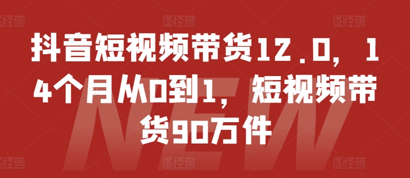 抖音短视频带货12.0，14个月从0到1，短视频带货90万件-6688资源库