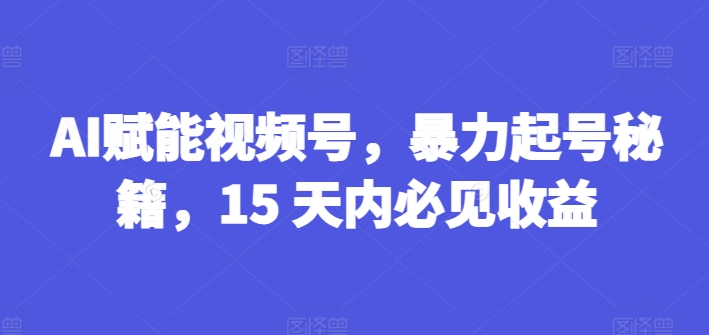 AI赋能视频号，暴力起号秘籍，15 天内必见收益【揭秘】-6688资源库
