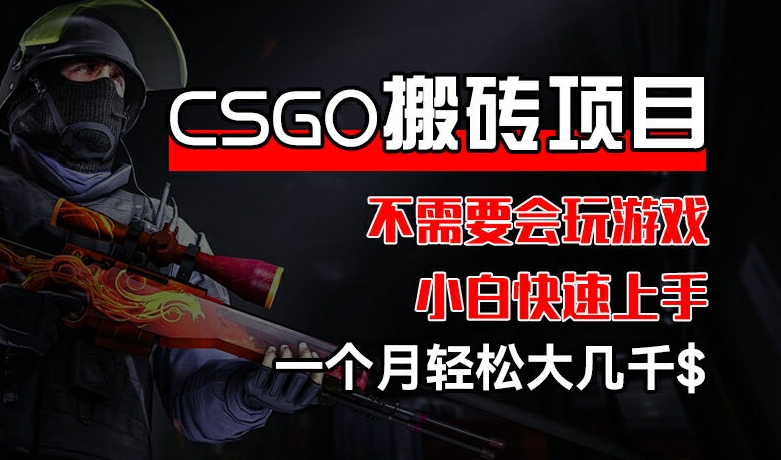 CSGO 装备搬砖项目，操作简单，不需要会玩游戏，小白也能快速上手，一个月轻松大几千【揭秘】-6688资源库