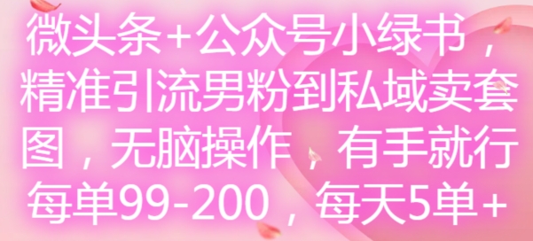 微头条+公众号小绿书，精准引流男粉到私域卖套图，无脑操作，有手就行，每单99-200，每天5单-6688资源库