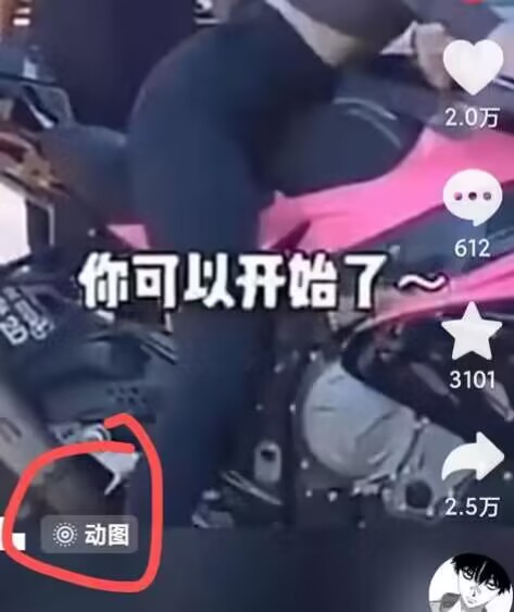 2024年7月苹果手机动图搬运技术-6688资源库