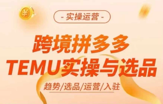 跨境拼多多TEMU实操与选品，多多temu跨境选品运营实操-6688资源库