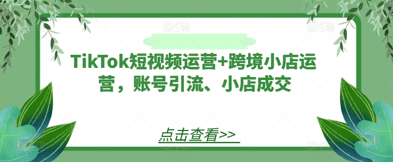 TikTok短视频运营+跨境小店运营，账号引流、小店成交-6688资源库