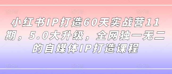 小红书IP打造60天实战营11期，5.0大升级，全网独一无二的自媒体IP打造课程-6688资源库