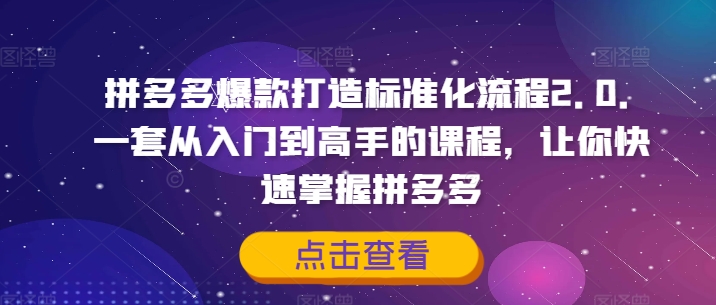 拼多多爆款打造标准化流程2.0，一套从入门到高手的课程，让你快速掌握拼多多-6688资源库