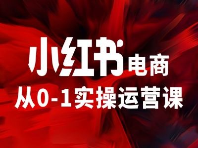 小红书电商从0-1实操运营课，让你从小白到精英-6688资源库