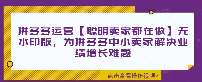 拼多多运营【聪明卖家都在做】无水印版，为拼多多中小卖家解决业绩增长难题-6688资源库