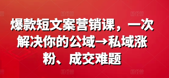 爆款短文案营销课，一次解决你的公域→私域涨粉、成交难题-6688资源库