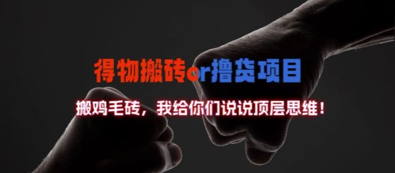 得物搬砖撸货项目?掰下数据,我给你们说说顶层思维【揭秘】-6688资源库