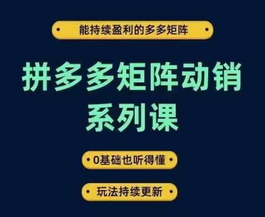 拼多多矩阵动销系列课，能持续盈利的多多矩阵，0基础也听得懂，玩法持续更新-6688资源库