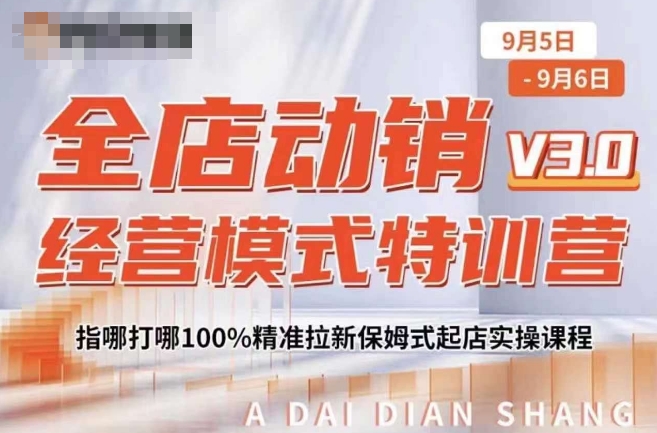 全店动销经营模式特训营，指哪打哪100%精准拉新保姆式起店实操课程-6688资源库