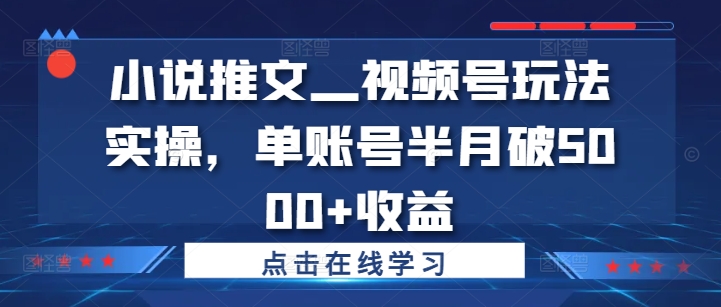小说推文—视频号玩法实操,单账号半月破5000+收益-6688资源库