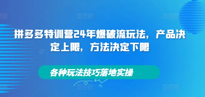 拼多多特训营24年爆破流玩法，产品决定上限，方法决定下限，各种玩法技巧落地实操-6688资源库