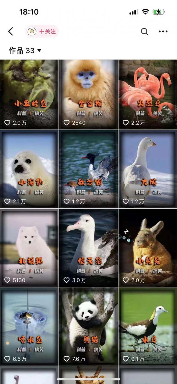 动物科普解说项目,撸创作者伙伴计划收益,保姆级实战教程-6688资源库