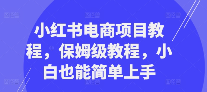 小红书电商项目教程，保姆级教程，小白也能简单上手-6688资源库