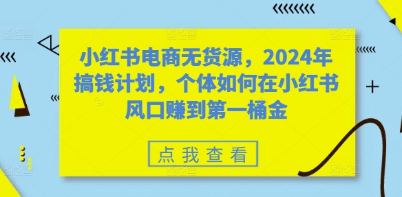 小红书电商无货源,2024年搞钱计划,个体如何在小红书风口赚到第一桶金-6688资源库