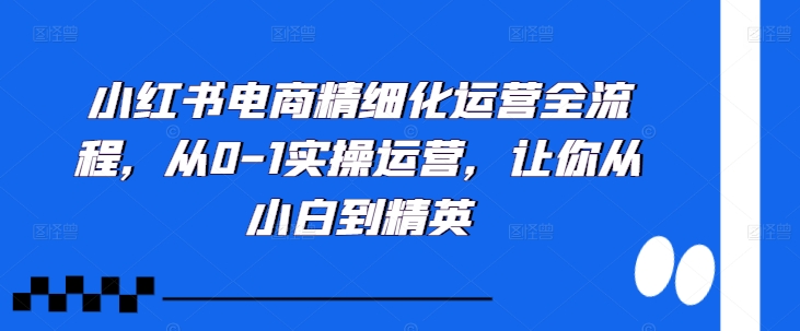 小红书电商精细化运营全流程，从0-1实操运营，让你从小白到精英-6688资源库