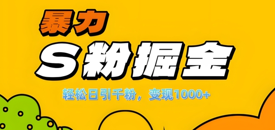 单人单机日引千粉，变现1k+，S粉流量掘金计划攻略【揭秘】-6688资源库