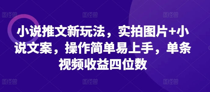 小说推文新玩法，实拍图片+小说文案，操作简单易上手，单条视频收益四位数-6688资源库