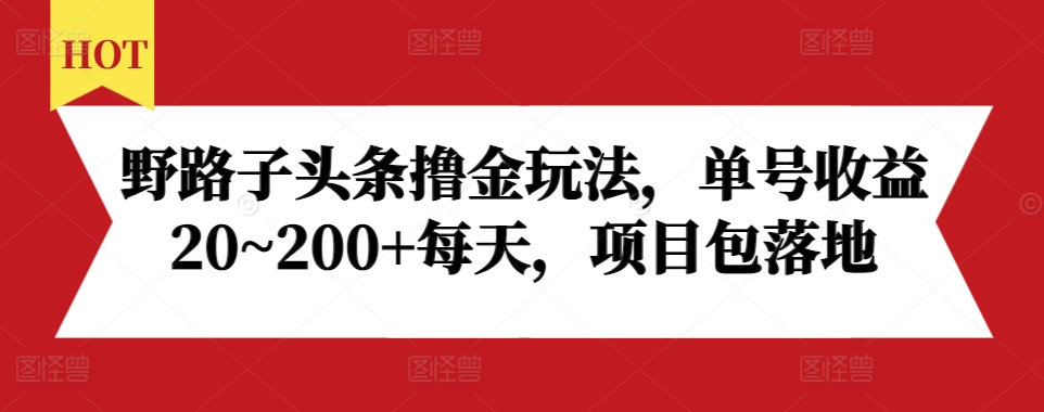 野路子头条撸金玩法，单号收益20~200+每天，项目包落地-6688资源库
