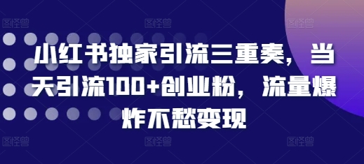 小红书独家引流三重奏，当天引流100+创业粉，流量爆炸不愁变现【揭秘】-6688资源库