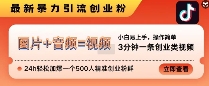 抖音最新暴力引流创业粉，3分钟一条创业类视频，24h轻松加爆一个500人精准创业粉群【揭秘】-6688资源库