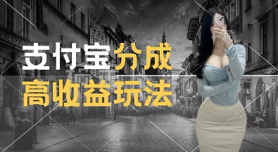 支付宝分成计划新玩法，利用交通事故视频，赚收益，轻松月入过W，操作简单【揭秘】-6688资源库