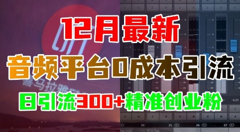 12月最新：音频平台0成本引流，日引流300+精准创业粉-6688资源库