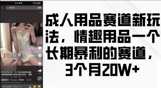 成人用品赛道新玩法，情趣用品一个长期暴利的赛道，3个月收益20个【揭秘】-6688资源库