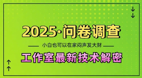 2025问卷调查最新工作室技术解密：一个人在家也可以闷声发大财，小白一天2张，可矩阵放大【揭秘】-6688资源库