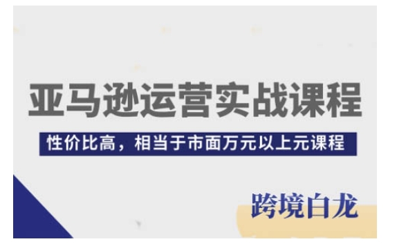亚马逊运营实战课程，亚马逊从入门到精通，性价比高，相当于市面万元以上元课程-6688资源库