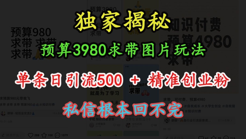 预算3980求带 图片玩法，单条日引流500+精准创业粉，私信根本回不完-6688资源库