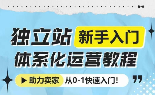 独立站新手入门体系化运营教程，助力独立站卖家从0-1快速入门!-6688资源库