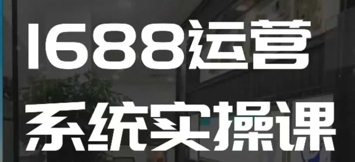 1688高阶运营系统实操课,快速掌握1688店铺运营的核心玩法-6688资源库
