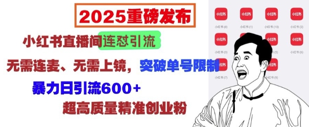 2025重磅发布：小红书直播间连怼引流，无需连麦、无需上镜，突破单号限制，暴力日引流600+-6688资源库
