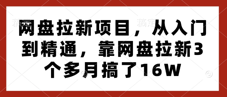 网盘拉新项目，从入门到精通，靠网盘拉新3个多月搞了16W-6688资源库