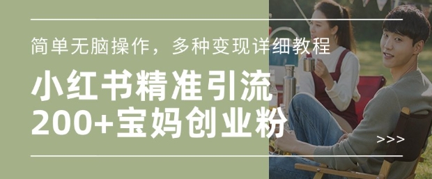 小红书混剪日引200+宝妈创业粉，简单无脑操作，多种变现详细教程-6688资源库