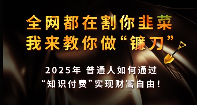 全网都在割你韭菜,我来教你做镰刀,2025年普通人如何通过 知识付费 实现财F自由【揭秘】-6688资源库