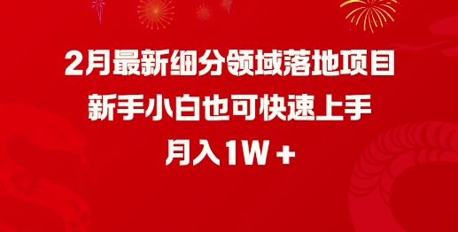 2月最新细分领域落地项目，新手小白也可快速上手，月入1W-6688资源库
