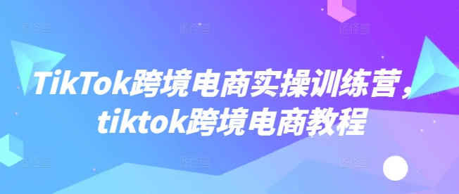 TikTok跨境电商实操训练营，tiktok跨境电商教程-6688资源库