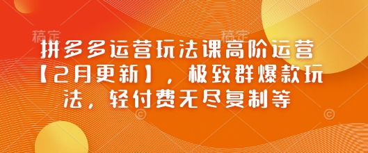 拼多多运营玩法课高阶运营【2月更新】,极致群爆款玩法,轻付费无尽复制等-6688资源库