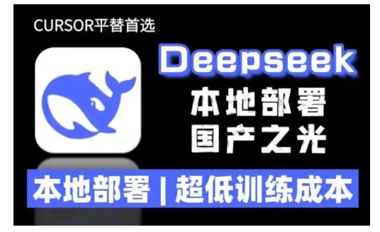 2025年deepseek R1 大型模型本地安装部署(文件+教程)本地部署,超低训练成本-6688资源库
