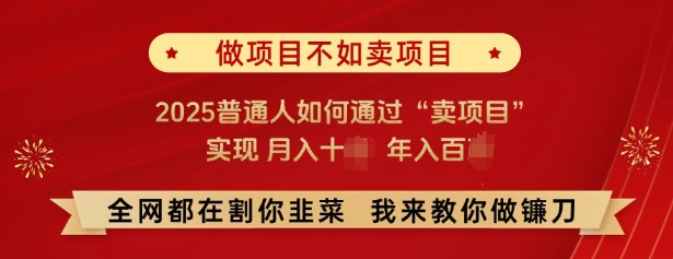 必看，做项目不如卖项目，2025普通人如何通过“卖项目”实现月入十个，年入百个-6688资源库