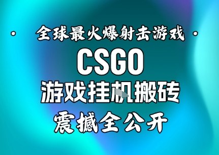 【年底大揭秘】基于全球最火爆的射击CSGO游戏挂G搬砖，日入5张+，震撼公开-6688资源库