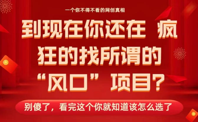 马上26年了，你还在找所谓的风口项目？别傻了，看完这个你全都懂了！【揭秘】-6688资源库