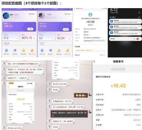 当天能收益的3个小项目拆解_包括平台+操作流程-6688资源库
