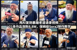 用AI复刻暴躁老道语录视频,21条作品涨粉8.8W,保姆级Sora2制作教学-6688资源库