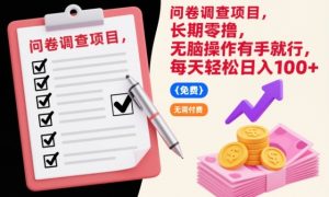 问卷调查项目，长期零撸，无脑操作有手就行，每天轻松日入100+【揭秘】-6688资源库