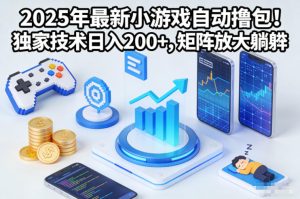 2025年最新小游戏自动撸包！独家技术日入2张+，矩阵放大躺賺【揭秘】-6688资源库
